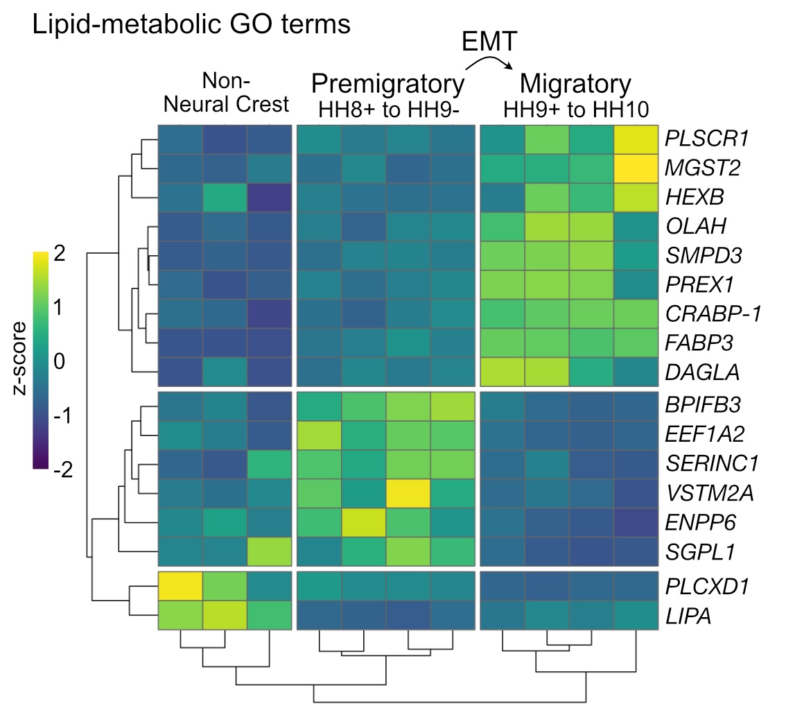 ../research/lipid-heatmap.jpg